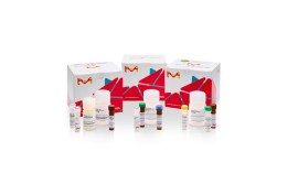 Lipid Peroxidation (MDA) Assay Kit - 100 Testes - Sigma